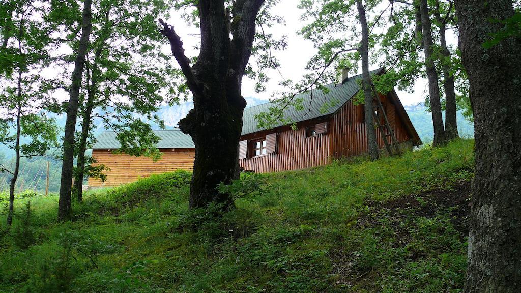 Guest House Tara Canyon Pljevlja Ngoại thất bức ảnh