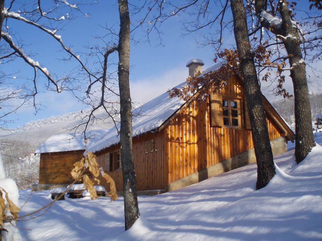 Guest House Tara Canyon Pljevlja Ngoại thất bức ảnh
