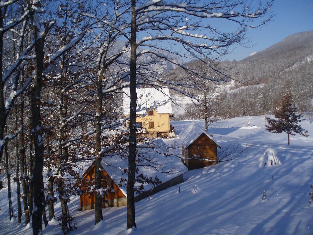 Guest House Tara Canyon Pljevlja Ngoại thất bức ảnh